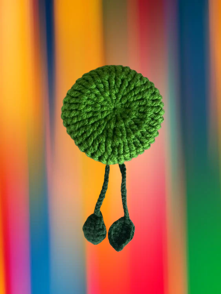 Accessoires Coiffures