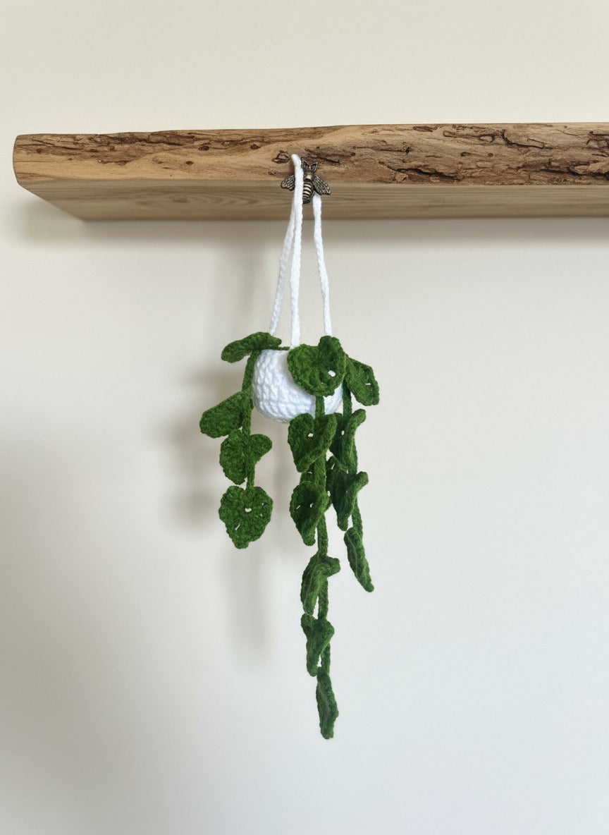 Petite Plante Verte Suspendue