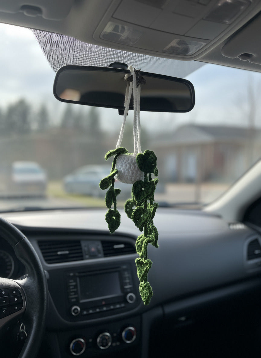 Petite Plante Verte Suspendue