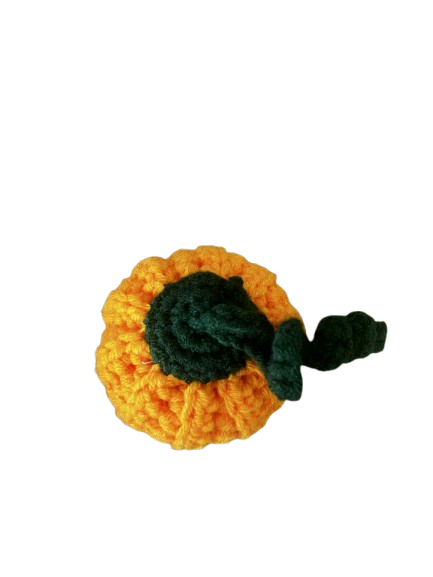 Petite citrouille